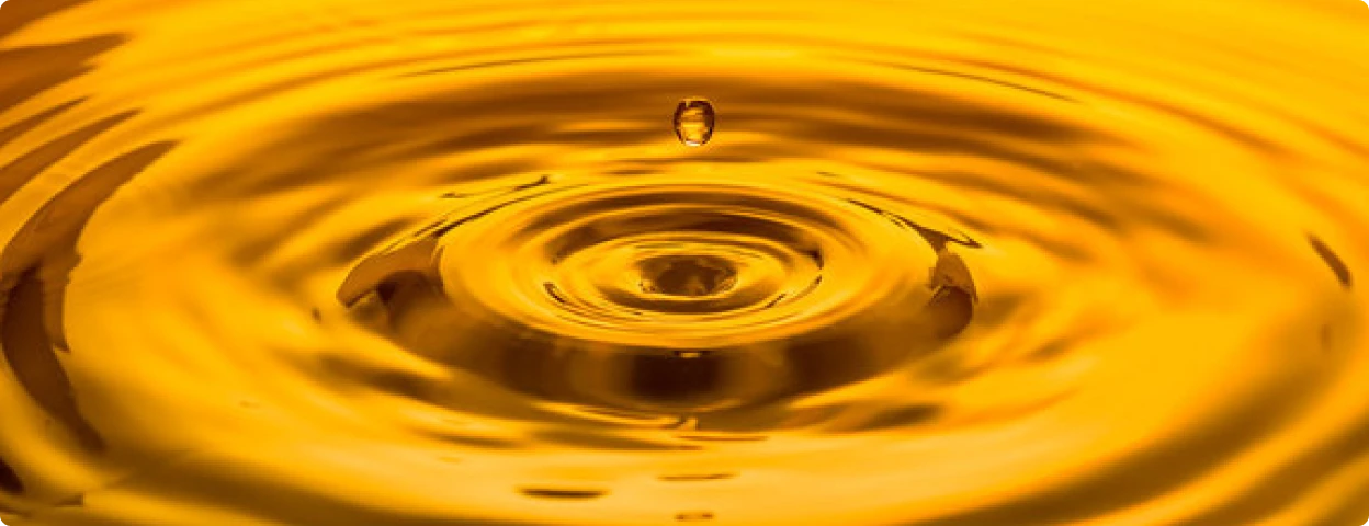 タブ2のコンテンツ